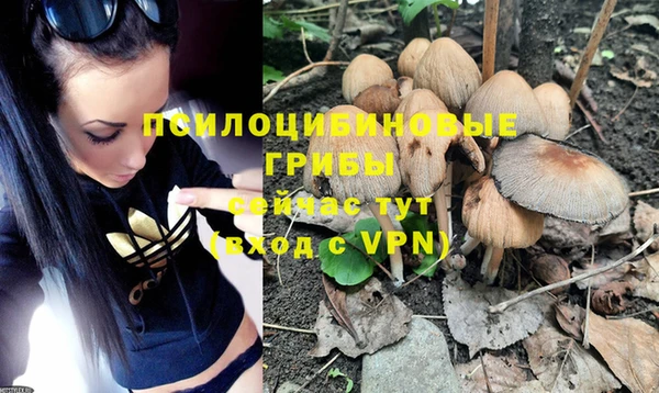 spice Абинск
