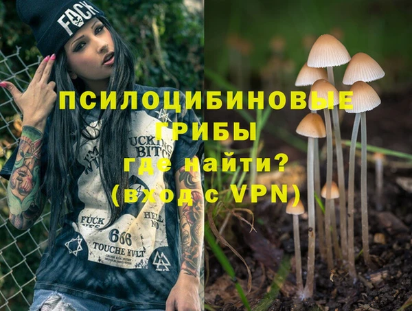 прущий лед Алзамай