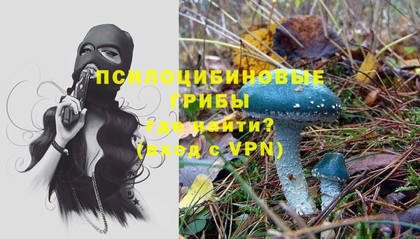 spice Абинск